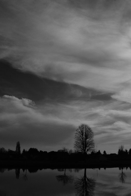_DSC0696.JPG