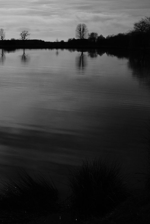 _DSC0702.JPG