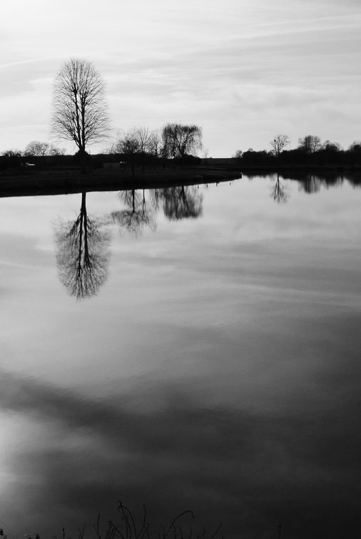 _DSC0712.JPG