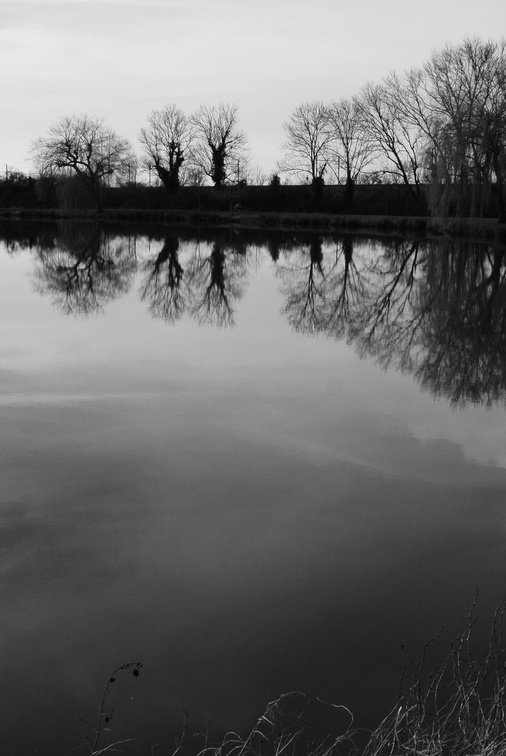 _DSC0714.JPG